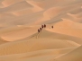 Abu Dhabi Adventure Challenge 2010